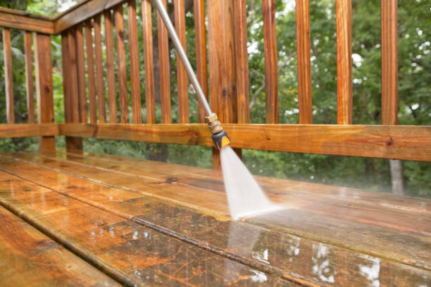 Best Roof Cleaning and Mildew Removal in Brandermill, VA